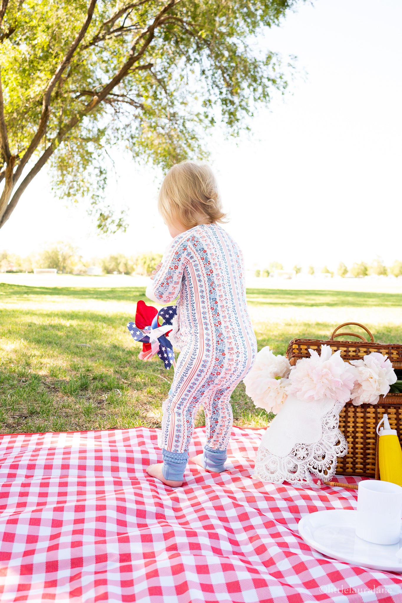 Patriotic Posies Baby Zip Pajama